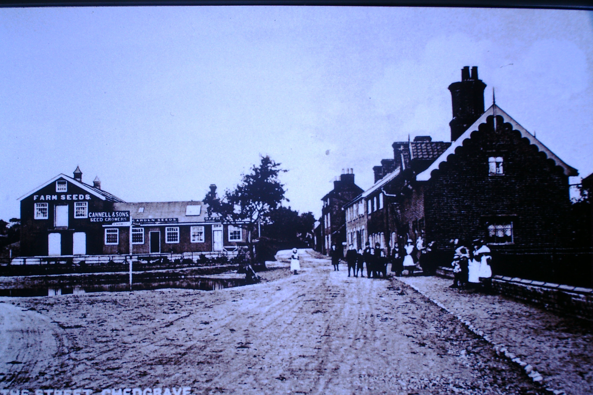 Chedgrave Loddon History
